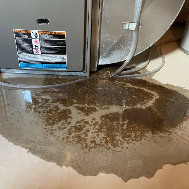 Appliance Leak Cleanup in Fontana, CA